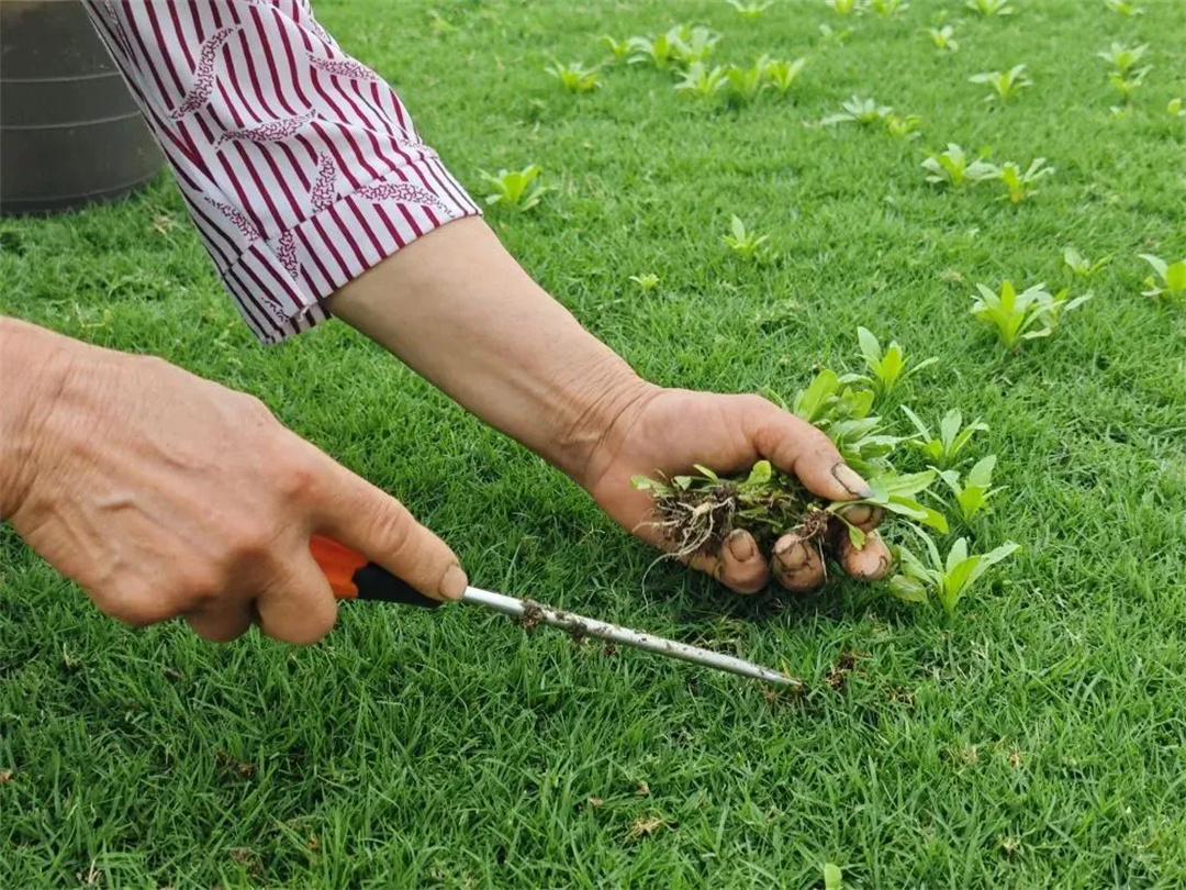 萬豪集團匠心助力，6月齊聚重慶龍興足球場為國足吶喊助威！